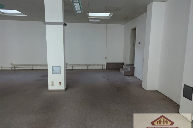 PXL_20251030_150005771